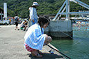 ose008