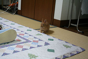 2007-12-26_213844