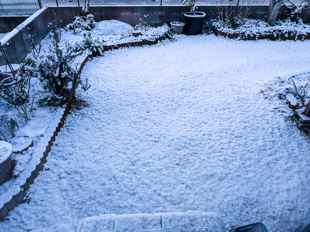 3度目の雪。